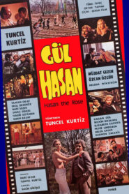 Gül Hasan